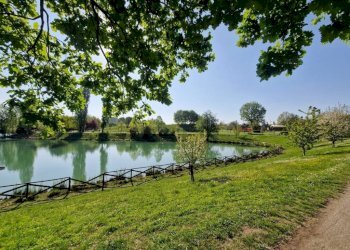 Terreno - Monolocale via dell'Arcoveggio, 154, Bologna (zona Corticella) - foto 22