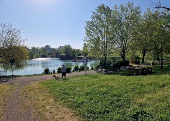 Terreno - Monolocale via dell'Arcoveggio, 154, Bologna (zona Corticella) - foto 27