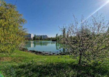 Zona - Bilocale via dei Giardini, Bologna (zona Corticella) - foto 4