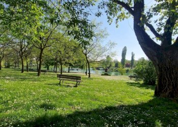 Zona - Bilocale via dei Giardini, Bologna (zona Corticella) - foto 25