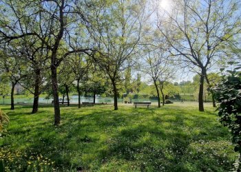 Zona - Bilocale via dei Giardini, Bologna (zona Corticella) - foto 3