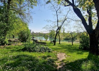 Terreno - Bilocale via dei Giardini, Bologna (zona Corticella) - foto 7