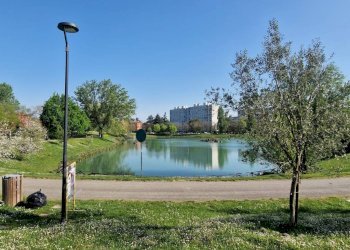 Piscina - Bilocale via dei Giardini, Bologna (zona Corticella) - foto 23