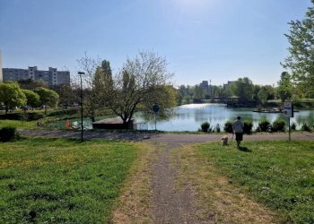 Terreno - Bilocale via dei Giardini, Bologna (zona Corticella) - foto 25