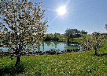 Terreno - Bilocale via dei Giardini, Bologna (zona Corticella) - foto 26