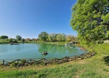 Terreno - Quadrilocale via dell'Arcoveggio, Bologna (zona Bolognina) - foto 21