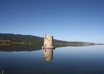 Foto 11 - Appartamento Via Furio Lenzi
 
21, Orbetello - foto 10