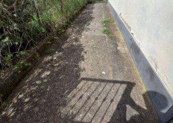 Giardino - Quadrilocale via Livornese, Lastra a Signa - foto 19