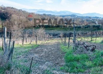 Vista delle montagne - Rustico Strangolagalli - foto 9