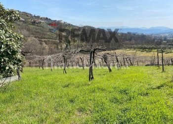 Vista delle montagne - Rustico Strangolagalli - foto 10