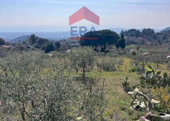 Foto 2 - Terreno agricolo Via carpene
 
33, Trecastagni - foto 2