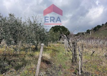 Foto 4 - Terreno agricolo Via carpene
 
33, Trecastagni - foto 4