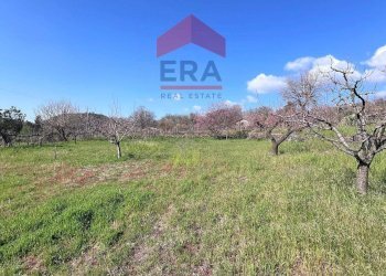 Foto 6 - Terreno agricolo Via carpene
 
33, Trecastagni - foto 6