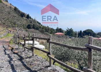 Foto 7 - Terreno agricolo Via carpene
 
33, Trecastagni - foto 7