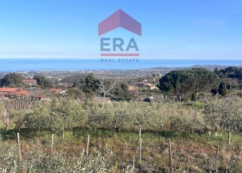 Foto 8 - Terreno agricolo Via carpene
 
33, Trecastagni - foto 8