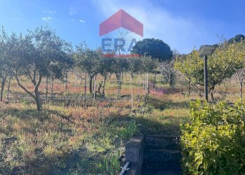 Foto 10 - Terreno agricolo Via carpene
 
33, Trecastagni - foto 10