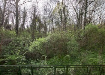 Vista - Bilocale strada Rubattera, 25, Castiglione Torinese - foto 14