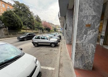 Zona - Negozio via Roma, 24, Perosa Argentina - foto 16