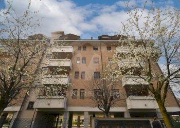 Foto 22 - Monolocale Via Daniel Bovet
 
5, Opera - foto 22