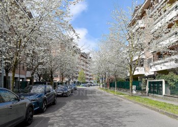 Foto 24 - Monolocale Via Daniel Bovet
 
5, Opera - foto 24