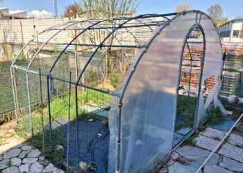 Terreno - Trilocale via Vecchia di Cuneo, 11, Borgo San Dalmazzo - foto 37