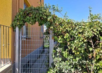 Dettagli - Trilocale via Vecchia di Cuneo, 11, Borgo San Dalmazzo - foto 39