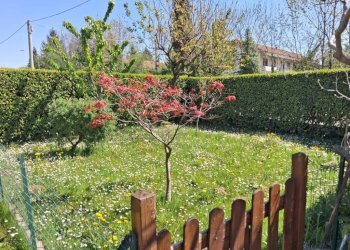 Giardino - Trilocale via Vecchia di Cuneo, 11, Borgo San Dalmazzo - foto 40