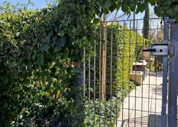 Cortile interno - Trilocale via Vecchia di Cuneo, 11, Borgo San Dalmazzo - foto 45