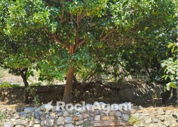 Terreno - Casa indipendente via Sant'Angelo, 15, Grotteria - foto 23