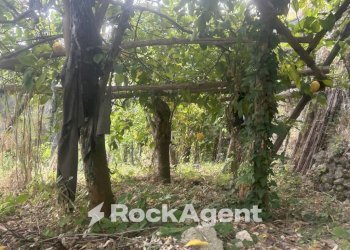 Terreno - Terreno agricolo via Torretta a Marmorata, Ravello - foto 18