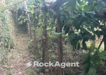 Terreno - Terreno agricolo via Torretta a Marmorata, Ravello - foto 19