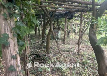 Terreno - Terreno agricolo via Torretta a Marmorata, Ravello - foto 29