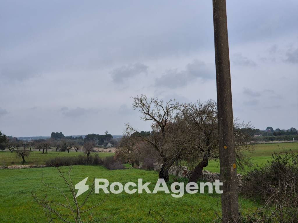 Terreno - Rustico Carraro dei Girardi, Gioia del Colle - foto 3