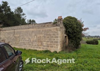 Terreno - Rustico Carraro dei Girardi, Gioia del Colle - foto 5