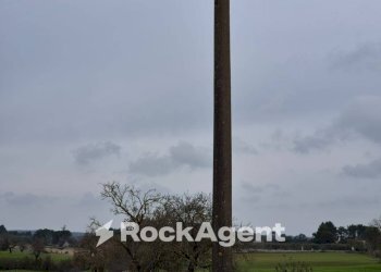 Vista - Rustico Carraro dei Girardi, Gioia del Colle - foto 8