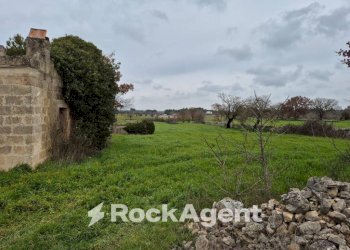Terreno - Rustico Carraro dei Girardi, Gioia del Colle - foto 9