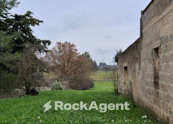 Terreno - Rustico Carraro dei Girardi, Gioia del Colle - foto 10