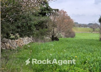 Terreno - Rustico Carraro dei Girardi, Gioia del Colle - foto 11