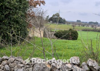 Terreno - Rustico Carraro dei Girardi, Gioia del Colle - foto 13