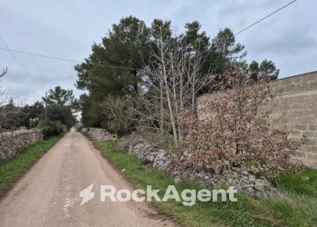 Terreno - Rustico Carraro dei Girardi, Gioia del Colle - foto 14