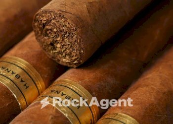 Altro - Bar - Tabacchi - Ricevitoria Piove di Sacco - foto 3