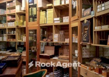 Interno non residenziale - Bar - Tabacchi - Ricevitoria Piove di Sacco - foto 4