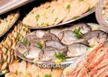 Zona - Food - Gastronomy Padova - photo 12
