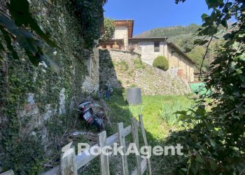 Giardino - Independent house strada Comunale di Nocchi, 131, Camaiore - photo 25