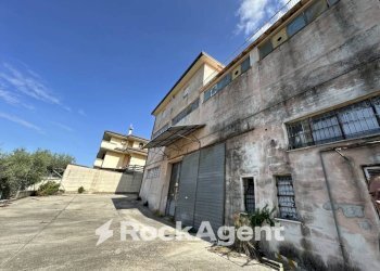 Terreno - Shed via Pedine, Tollo - photo 5