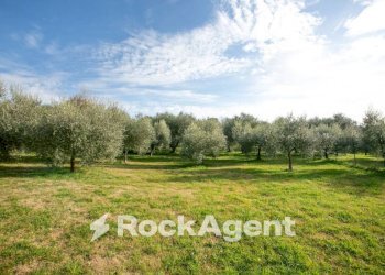 Terreno - Villa via del Laghetto, 26b, Civitella San Paolo - foto 18
