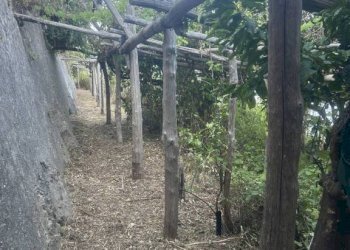 Terreno - Terreno agricolo largo Civita, 10, Ravello - foto 21