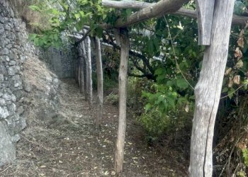 Terreno - Terreno agricolo largo Civita, 10, Ravello - foto 32