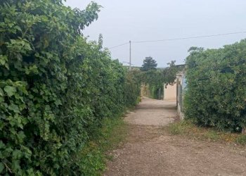 Terreno - Villa Bommiscuro SNC, Noto - foto 1