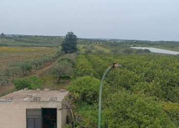 Vista - Villa Bommiscuro SNC, Noto - foto 10